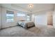 Bright, spacious bedroom with tray ceiling, carpet, and large windows offering natural light at 16881 Roaming Elk Dr, Monument, CO 80132