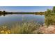 Scenic lake view with lush greenery, a rocky shoreline, and distant mountains creating a serene and picturesque landscape at 2616 Utica St, Denver, CO 80212