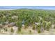 Aerial view of a secluded home nestled among towering trees in a lush green mountain setting at 7317 Fremont Pl, Larkspur, CO 80118