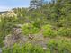 Scenic view of a wooded landscape, rock outcroppings, and peaceful setting, ideal for relaxation at 9648 Yegge Rd, Morrison, CO 80465
