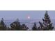 Distant city lights seen at night below a hill with trees framing a beautiful shot of a full moon at 9648 Yegge Rd, Morrison, CO 80465