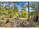 Relaxing outdoor setting with a fire pit, seating and lush greenery at 9648 Yegge Rd, Morrison, CO 80465