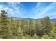 Panoramic view of forested hills and mountains extending into the horizon from a tree-filled vantage point at 9648 Yegge Rd, Morrison, CO 80465