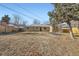 Large backyard with mature tree and space at 1230 Peoria St, Aurora, CO 80011