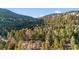 Scenic aerial view of a wooded area with mountain views, showcasing the property's prime location and natural beauty at 31219 Florence Rd, Conifer, CO 80433