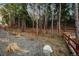 Beautiful wooded backyard with a split rail fence, rock landscaping and scrub brush at 16113 Enchanted Peak Way, Monument, CO 80132