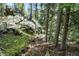 Backyard featuring mature evergreens and large rock outcroppings at 30041 Marys Dr, Conifer, CO 80433
