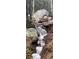 Scenic view of a small bridge over a rocky creek flowing through the woods at 30041 Marys Dr, Conifer, CO 80433