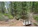Charming wooden bridge over a small creek surrounded by lush greenery and towering trees at 30041 Marys Dr, Conifer, CO 80433