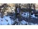 Creek covered in snow and surrounded by trees at 315 Arapahoe Ave # 202, Boulder, CO 80302