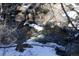 A mountain creek surrounded by snow-covered rocks and trees at 315 Arapahoe Ave # 202, Boulder, CO 80302