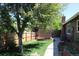 Lush backyard with mature tree, privacy fence, and patio space at 8101 S San Juan Range Rd, Littleton, CO 80127
