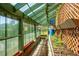 Spacious greenhouse with ample natural light, ideal for gardening and cultivating plants year-round at 32392 Lodgepole Dr, Evergreen, CO 80439