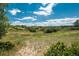 Spacious backyard with mature trees and shrubs provides privacy and a connection to nature in this quiet retreat at 3488 Dawson Rd, Sedalia, CO 80135