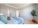Bright bedroom featuring a large bed, tray ceiling, and a plant at 3565 New Haven Cir, Castle Rock, CO 80109