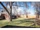 Expansive backyard with green grass, a mature tree, and a storage shed at 2345 S Williams St, Denver, CO 80210