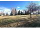 Expansive park view with open green space and trees, perfect for Gathering outings and relaxation at 17968 E Colgate Pl, Aurora, CO 80013