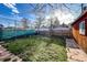 Fenced-in backyard with grassy area, stone walkway, and wooden privacy fence at 241 N Grant St, Denver, CO 80203