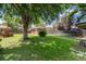 Expansive backyard with mature trees and brick barbecue at 2635 Julian St, Denver, CO 80211