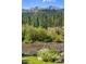 Scenic view of a clear creek flowing through a lush landscape with mountains in the background at 189 Ginger Quill Ln, Breckenridge, CO 80424