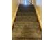 Carpeted stairs leading to the upper level at 4320 Nepal St, Denver, CO 80249