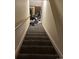 Carpeted stairs leading to the upper level at 4320 Nepal St, Denver, CO 80249