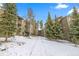 Complex exterior with a snow covered walkway and mature landscaping at 1179 Ski Hill Rd # 147, Breckenridge, CO 80424