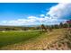Expansive green lawn with mature trees overlooking scenic mountain views, offering a tranquil and picturesque outdoor space at 10646 Winding Pine Pt, Highlands Ranch, CO 80126