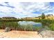 Scenic pond surrounded by lush vegetation and luxury homes, providing a peaceful and picturesque community view at 10646 Winding Pine Pt, Highlands Ranch, CO 80126