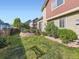 Secluded backyard with lush lawn, charming brick wall, and mature shrubs at 301 Harvest St, Longmont, CO 80501