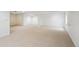 Large finished basement provides flexible space, with ample lighting, for Gathering and entertainment at 11847 Trail View Ln, Parker, CO 80134