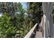 View of mature trees from the back deck, and an umbrella at 11526 Green Cir, Conifer, CO 80433