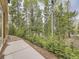 A view from the house of the backyard concrete patio surrounded by a mixed forest at 11526 Green Cir, Conifer, CO 80433