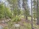 View of the backyard with mixed growth and mature trees dotting the landscape at 11526 Green Cir, Conifer, CO 80433