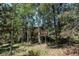Exterior view of a cabin surrounded by birch and pine trees at 11526 Green Cir, Conifer, CO 80433