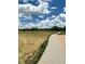 Paved pathway through a grassy area with trees at 17346 Nature Walk Trail # 105, Parker, CO 80134