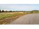 A spacious lot adjacent to a paved road with a home visible in the distance at 4063 Castle Vista Dr, Castle Rock, CO 80104