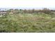 Backyard with grassy ground and wooden fence at 11897 Roxburg St, Strasburg, CO 80136
