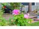 Close-up of pink roses in a lush backyard garden setting with a seating area at 4921 Fountain St, Boulder, CO 80304