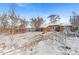 Large backyard with snow covered ground, trees, and a shed at 1435 Quebec St, Denver, CO 80220