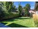 Lush green backyard with a well-maintained lawn and mature trees at 2409 S Fillmore St, Denver, CO 80210