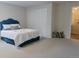 Basement bedroom with a queen-size bed and built-in closet at 11822 Meadowood Ln, Parker, CO 80138