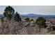 Community home featuring a mountain view in the distance beyond a home and treetops at 5329 Pinyon Jay Rd, Parker, CO 80134