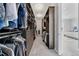 Large walk-in closet with custom shelving and lots of storage space at 6066 Leilani Dr, Castle Rock, CO 80108
