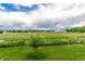 Expansive backyard with lush green grass and distant views of mountains under a partly cloudy sky at 4899 S Dudley St # 14F, Littleton, CO 80123