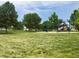Community playground with lush green grass and mature trees creating a serene and Gathering-friendly environment at 10117 Wyandott N Cir, Thornton, CO 80260