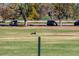 Dog jumps to catch a frisbee in open field with trees and cars in the background at 4100 Albion St # 314, Denver, CO 80216