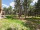 Expansive backyard with lush greenery, surrounded by trees and featuring an outdoor hot tub at 20125 Indi Dr, Monument, CO 80132