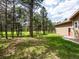 Spacious yard with mature pine trees at 20125 Indi Dr, Monument, CO 80132