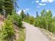 Long paved driveway surrounded by lush trees and greenery leading to the property at 6882 Snowshoe Trl, Evergreen, CO 80439